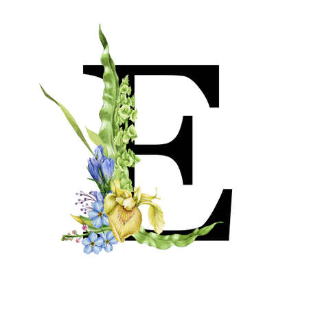 Flower letter E. Floral spring alphabet. Capital letter E element with spring garden flower branch bouquets composition. Wedding invitations, baby shower, birthday, other ideas. On white backgroundの写真素材
