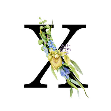 Floral spring alphabet. Capital letter X. Font element with spring garden flower bouquets composition. Flower letter. Wedding invitations, baby shower, birthday, other ideas. On white backgroundの写真素材