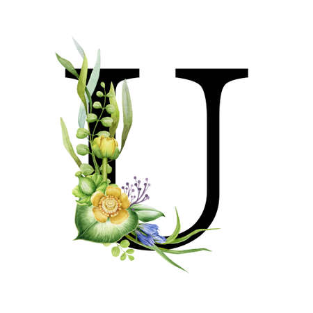 Floral spring alphabet. Capital letter U. Font element with spring garden flower bouquets composition. Flower letter. Wedding invitations, baby shower, birthday, other ideas. On white backgroundの写真素材