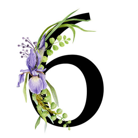 Floral spring alphabet. Number 6. Font element with spring garden flower bouquets composition. Flower number six. Wedding invitations, baby shower, birthday, other ideas. On white backgroundの写真素材