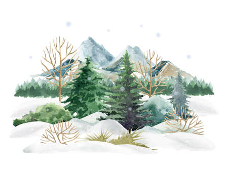 Winter forest landscape nature scene. Watercolor illustration. Hand drawn snow, mountains, trees, bush. Winter wild landscape element. North nature with fir trees, snow, hills. White backgroundの写真素材