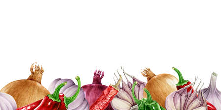 Vegetable seamless border. Watercolor illustration. Onion, garlic, chili and jalapeno pepper border element. Cooking golden and purple organic onions, half garlic bulb and chili pepper vegetablesの写真素材