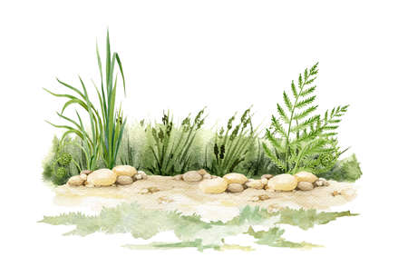 Sandy ground with green grass background. Watercolor illustration. Natural sandy ground with small rocks with green lush grass, fern and wild herbs on the background. Natural sceneの写真素材