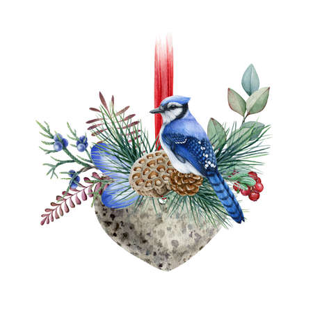 Floral winter decor with blue jay bird. Watercolor illustration. Hand drawn rustic decorative element. Heart element with pine branch, eucalyptus, blue jay, cone, fern. White backgroundの写真素材