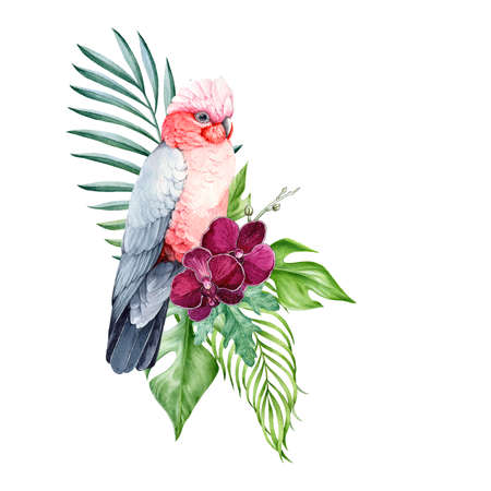Tropical exotic floral decor with pink parrot. Watercolor illustration. Beautiful tropical bird with palm leaves, purple orchids decoration. Floral jungle decor on white backgroundの写真素材