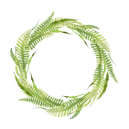 Grass, wild herbs, fern green lush wreath. Watercolor illustration. Hand drawn round frame made from meadow greens, grass, field wild herbs. Herbal wreath on white backgroundの写真素材