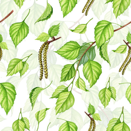 Green birch leaf, branch seamless pattern. Watercolor illustration. Birch tree leaves and branches floral natural seamless pattern. Green lush vegetation decorative element. White backgroundの写真素材