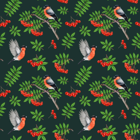 Rowan tree elements with bullfinch birds seamless pattern. Watercolor vintage style illustration. Hand drawn rowan red ripe berries, leaf, forest birds seamless pattern design on dark backgroundの写真素材