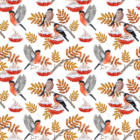 Winter season bullfinch birds on rowan tree branch, berries covered with snow seamless pattern. Watercolor illustration. Winter bullfinches forest bird with red rowanberry design seamless patternの写真素材
