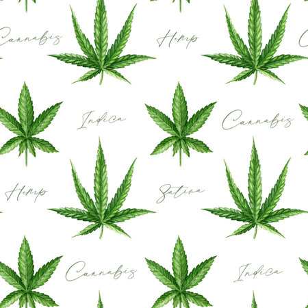 Cannabis sativa, indica type variety herb leaves seamless pattern on white background. Hemp medicine plant watercolor illustration. Cannabis plant green leaf element seamless pattern designの写真素材