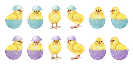 Easter mood cute funny yellow chicks in pastel colored eggs on white background. Hand drawn vintage...