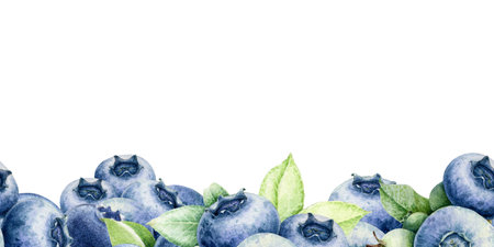 Fresh blueberries with green leaves seamless border. Hand drawn blueberry pile watercolor vintage style illustration on a white background. Perfect for print, packaging, decor and food-themed designsの写真素材