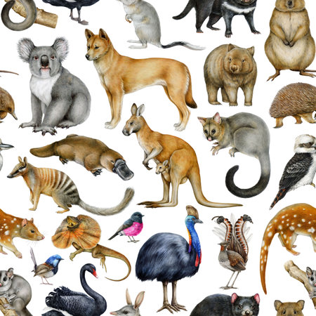Australian birds and animals seamless pattern element. Hand drawn koala, kangaroo, quokka, platypus, kookaburra on white background. Australia fauna pattern on white backgroundの写真素材