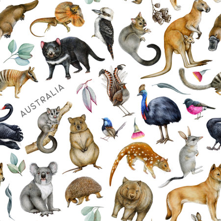 Australian birds, animals with floral elements seamless pattern. Hand drawn koala, kangaroo, dingo dog, quokka, platypus, kookaburra on white background. Australia fauna pattern for fabric printingの写真素材