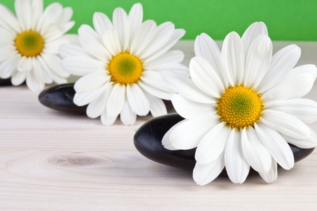 spa conceptの写真素材