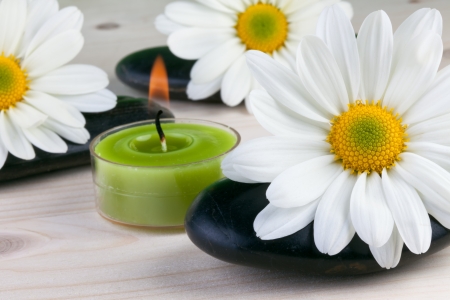 camomile flowers with zen stones, spa conceptの写真素材