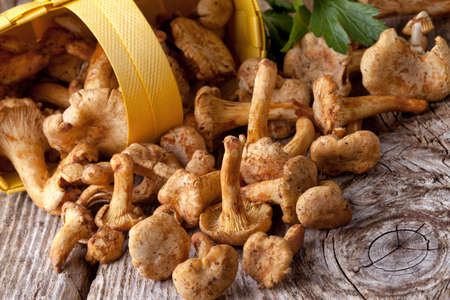 chanterelles in basket on wood backgroundの写真素材