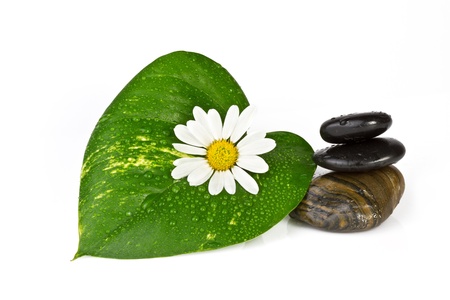spa and health care conceptの写真素材