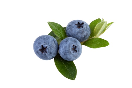 blueberries isolated on white, close up の写真素材