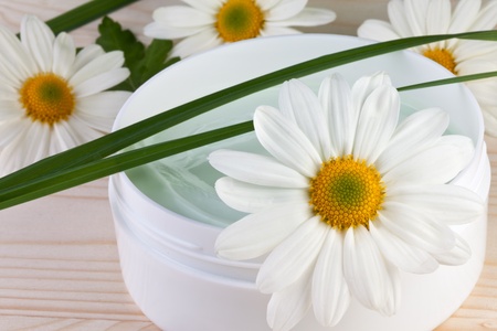 chamomile flower, body care conceptの写真素材