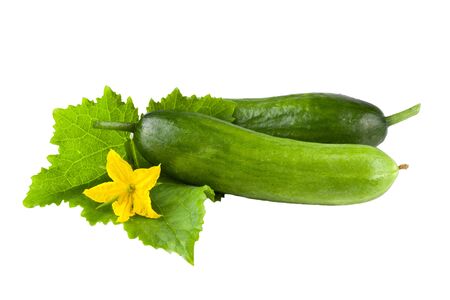 fresh cucumber with leaf isolated on whiteの写真素材