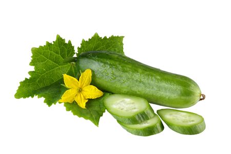 cucumber sliced, isolated on white backgroundの写真素材