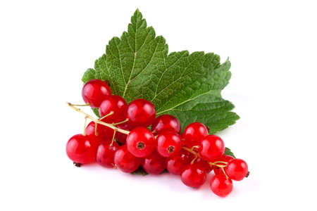 red currant with leaf isolated on white backgroundの写真素材