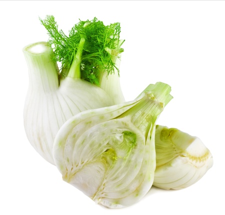 fennel isolated on white backgroundの写真素材
