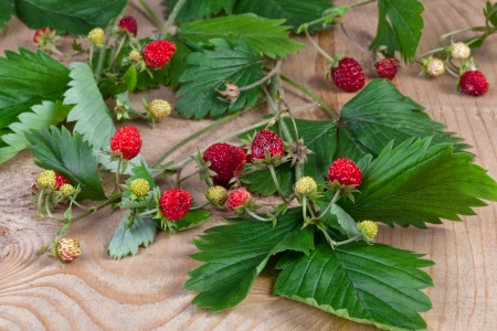 ripe red berries, woodland strawberry on wooden backgroundの写真素材