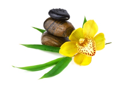 yellow orchid with zen stones isolated on whiteの写真素材