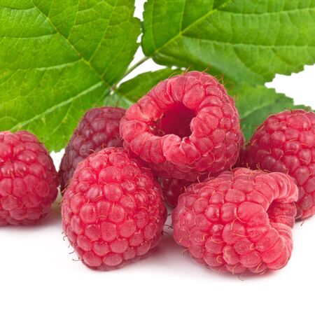 raspberries isolated on white background, squareの写真素材