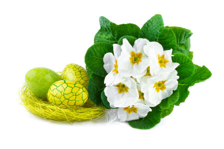 easter eggs and spring flowers isolated on white の写真素材