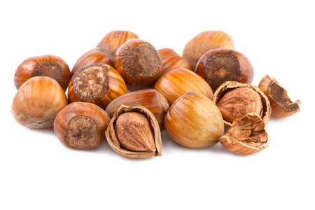 nuts filberts isolated on white backgroundの写真素材