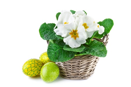 spring flowers in basket and easter eggs, isolated on white の写真素材