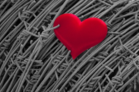 red heart on background of barbed wireの写真素材