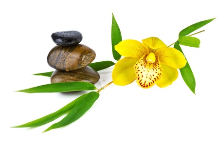orchid with zen stones isolated on whiteの写真素材