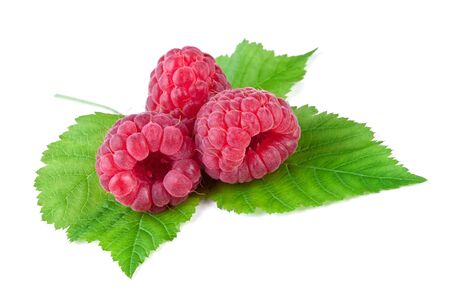 raspberry with leaf isolated on white backgroundの写真素材