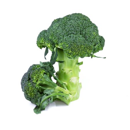 fresh broccoli isolated on white backgroundの写真素材