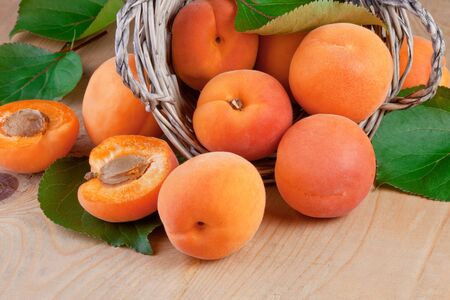 fresh apricots with leaves on wooden backgroundの写真素材