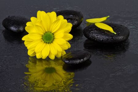 yellow flower with spa stones and water dropの写真素材