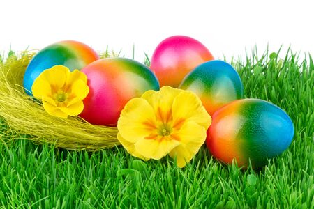 Easter colored eggs on the green grassの写真素材