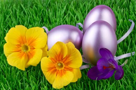 Easter backgroundの写真素材