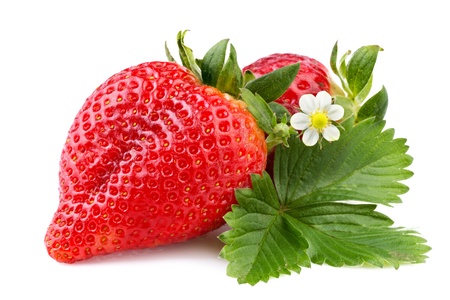 strawberry with leaf isolated on white background の写真素材