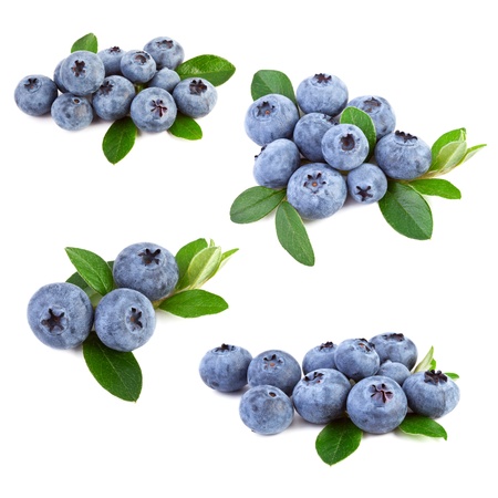 blueberries collageの写真素材