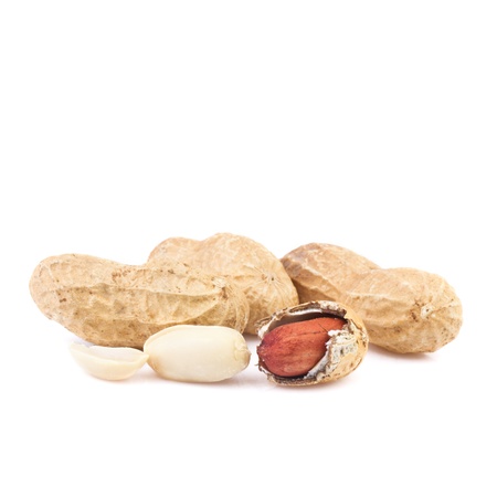 peanut close up 