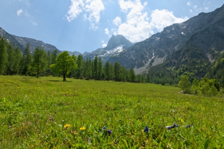 summer landscape in mountainsの写真素材