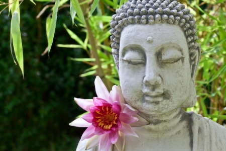 Buddha with lotus flower and bamboo leavesの写真素材