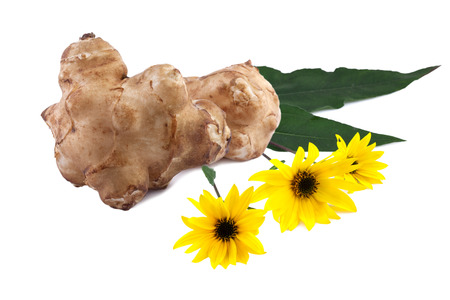 tubers and flowers of jerusalem artichoke (Helianthus tuberosus)