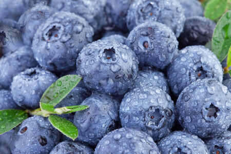 blueberries in close up shotの写真素材
