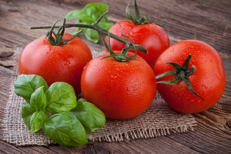 Tomatoes with Basil over Old Wooden Backgroundの写真素材